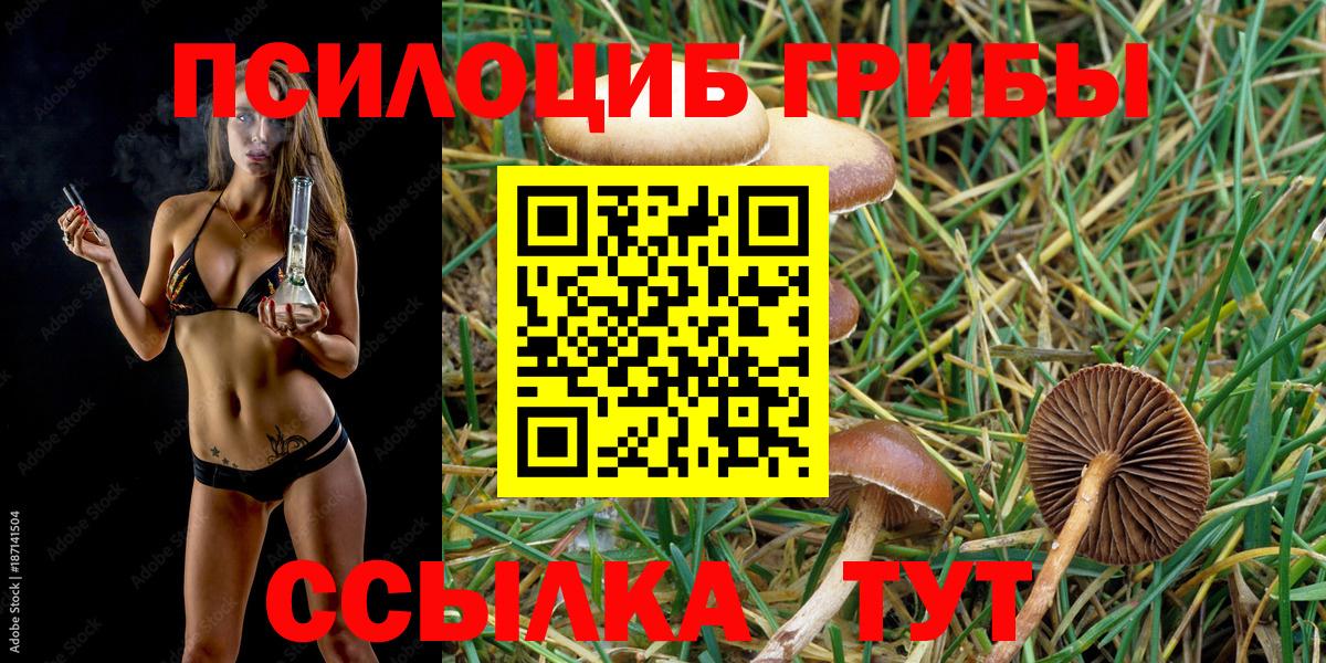 Галлюциногенные грибы GOLDEN TEACHER Кропоткин