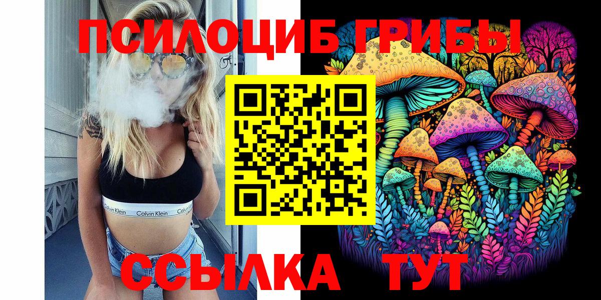 Кропоткин  Псилоцибиновые грибы Psilocybine cubensis  наркота  Вход с VPN 
